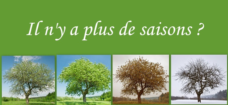 Société d'Horticulture d'Angers