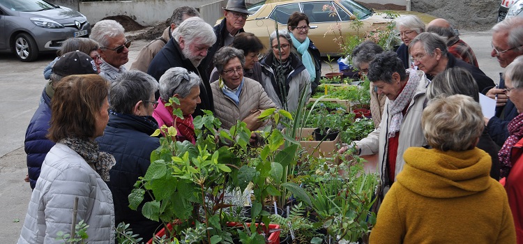 Société d'Horticulture d'Angers